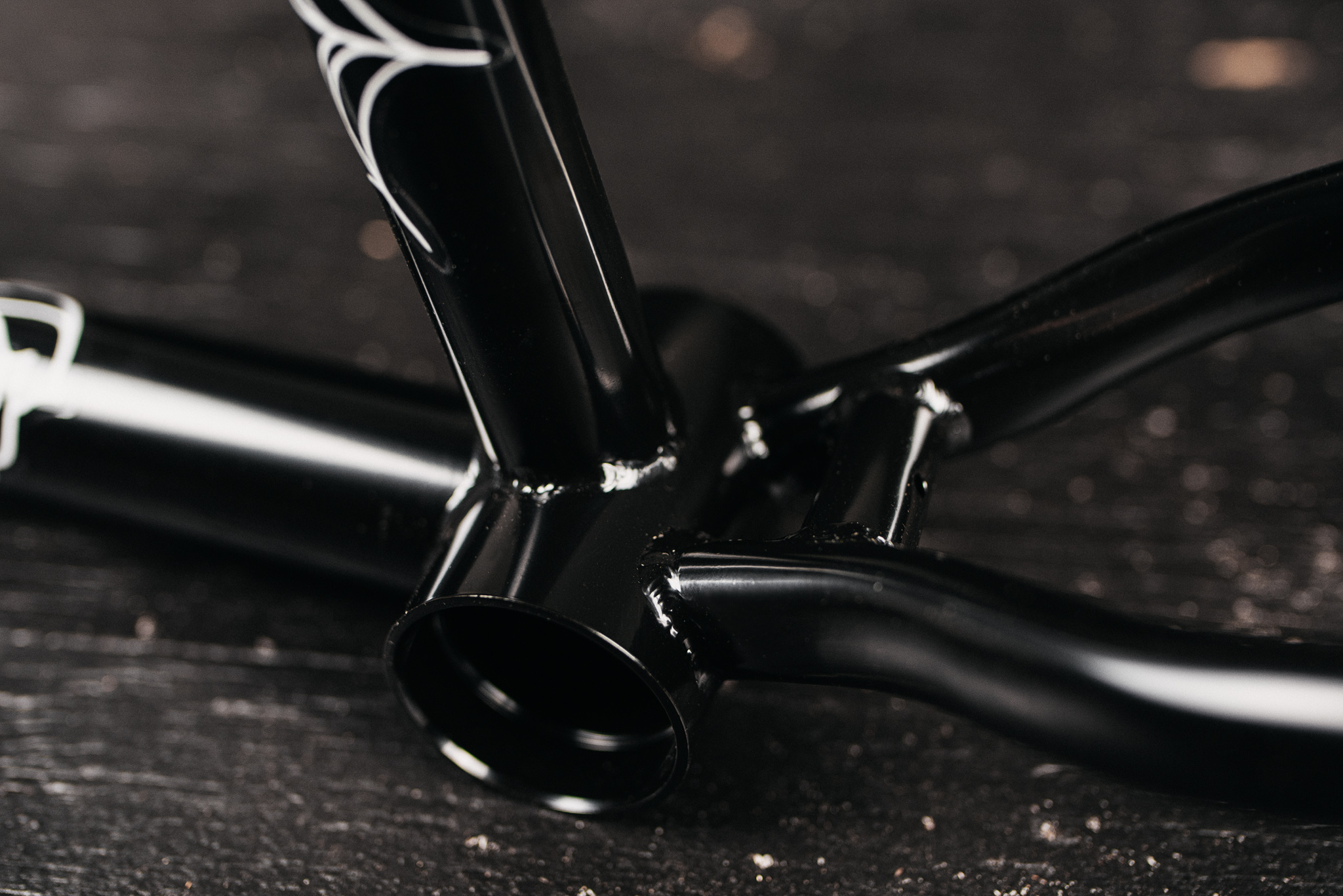 SUB_YungRoseFrame_Black_TransTealFade_InStudio_BlackWood_Details_15_WEB