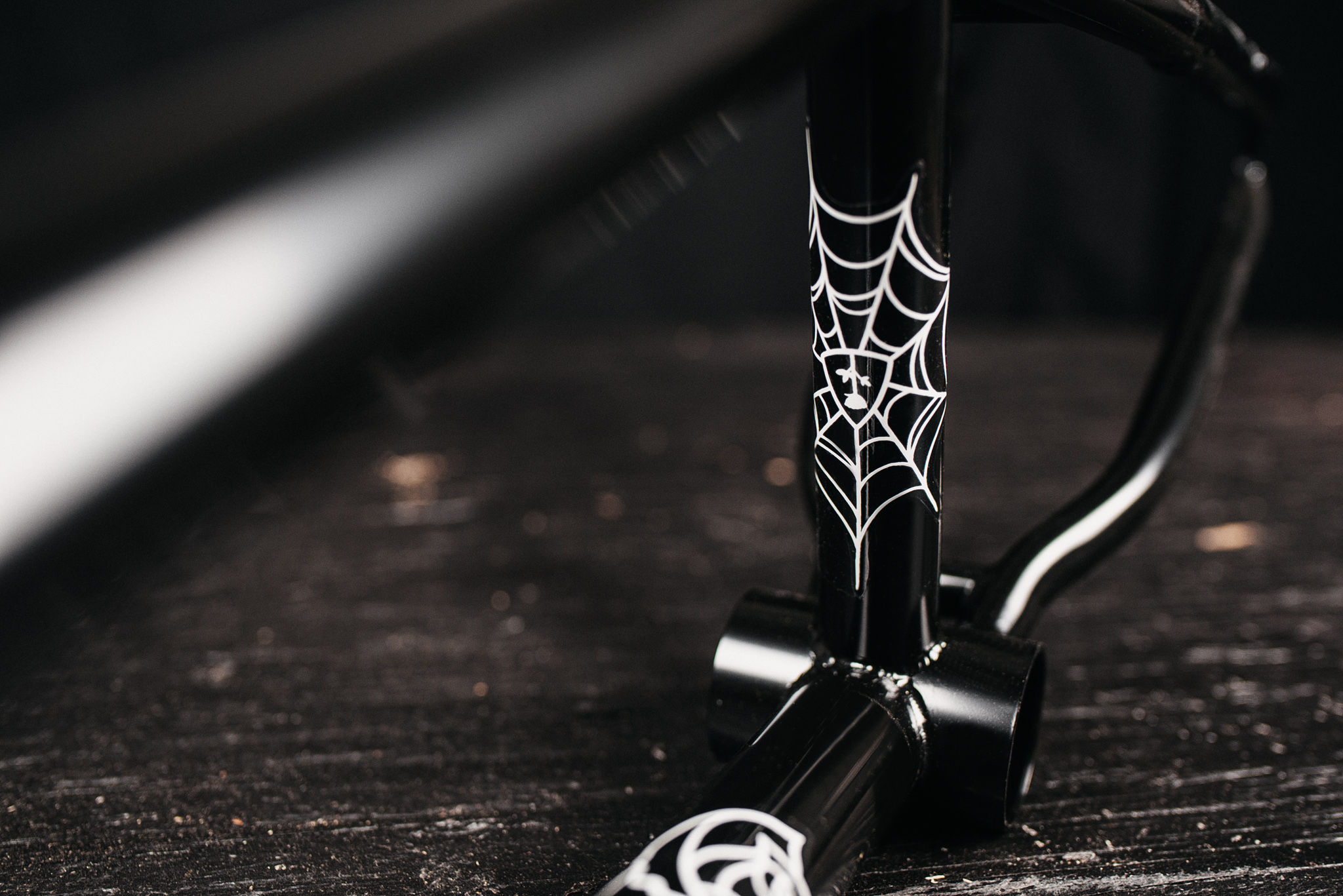SUB_YungRoseFrame_Black_TransTealFade_InStudio_BlackWood_Details_16_WEB
