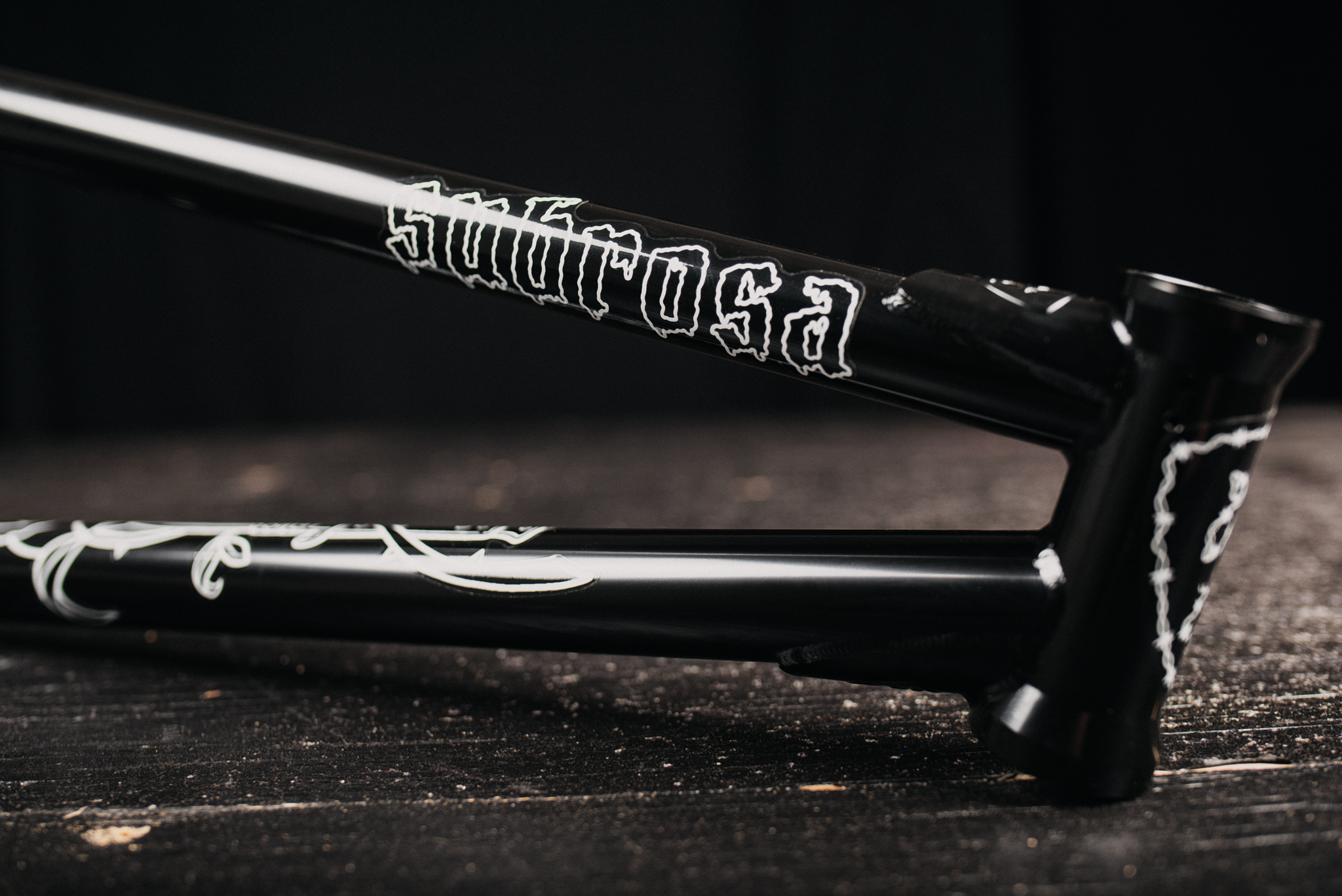 SUB_YungRoseFrame_Black_TransTealFade_InStudio_BlackWood_Details_21_WEB