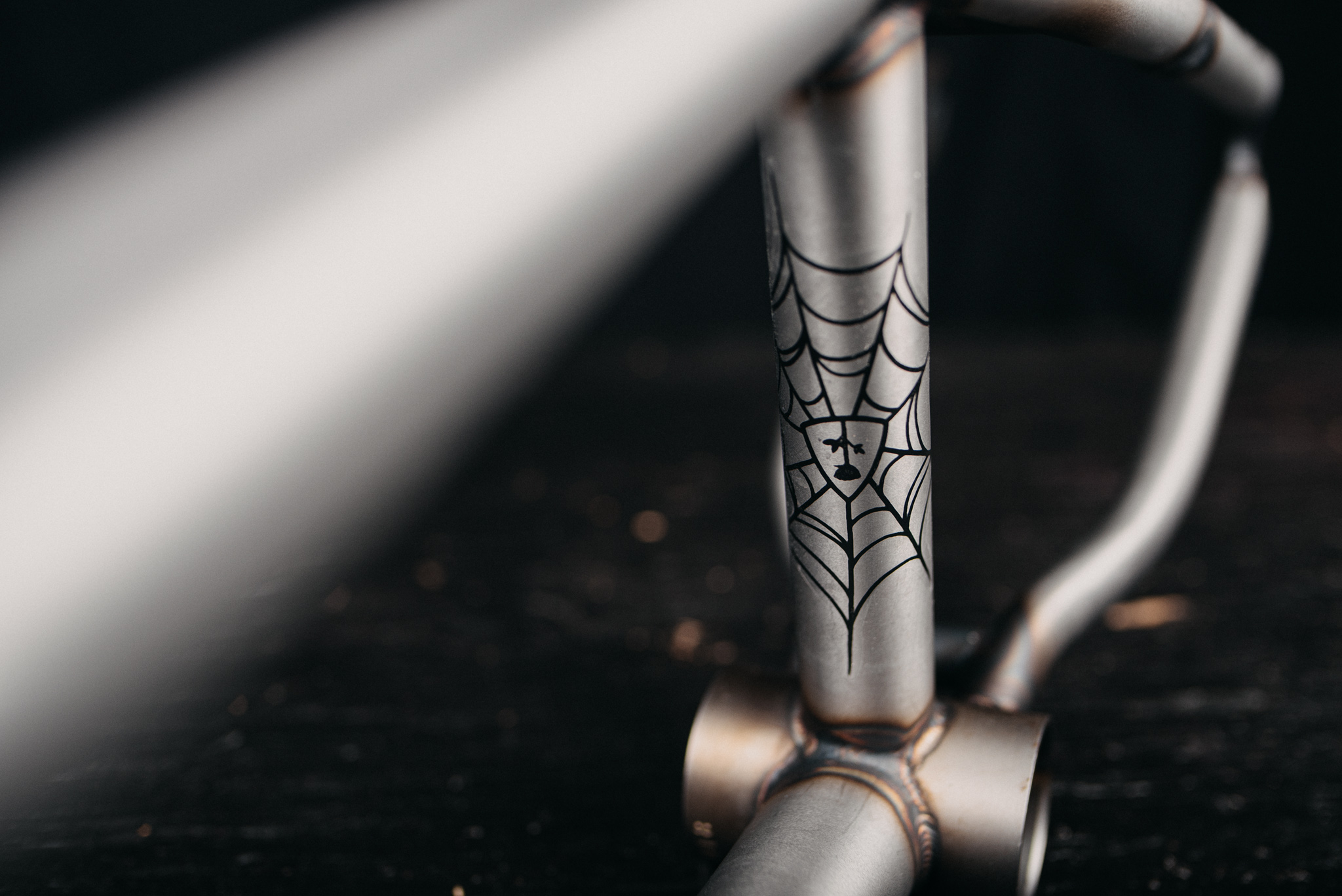 SUB_YungRoseFrame_Black_TransTealFade_InStudio_BlackWood_Details_2_WEB
